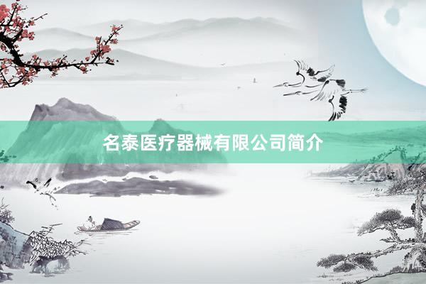 名泰医疗器械有限公司简介